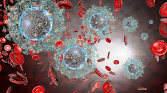 ¿Un fármaco contra el cáncer puede atacar al VIH-Sida?