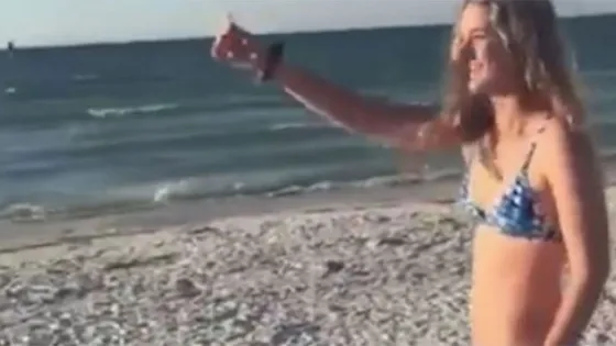 Intentó darle de comer a una gaviota y le salió mal. Video