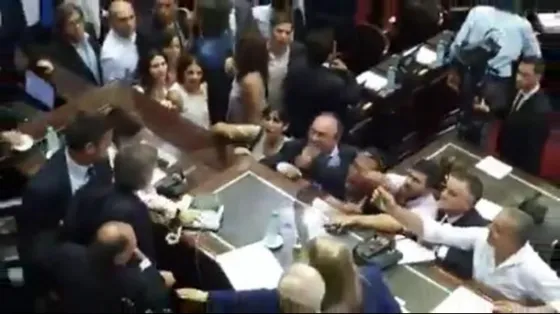 Reforma Previsional: Monzó y Moreau se agarraron durante la sesión (Video)
