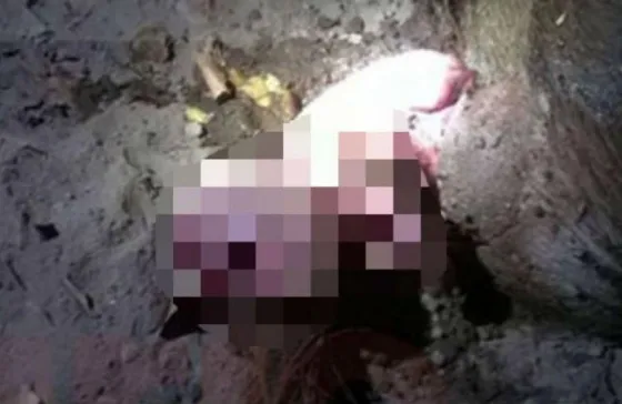 Conmoción tras nacimiento de una extraña criatura humanoide en Santiago