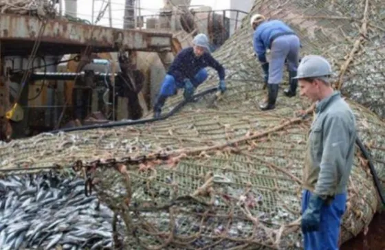 Pescadores entran en shock al ver lo que lograron capturar . Impactante video