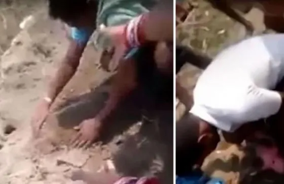 Algo se movía en la tierra, se acercó y lo que vio lo dejó perplejo... Video