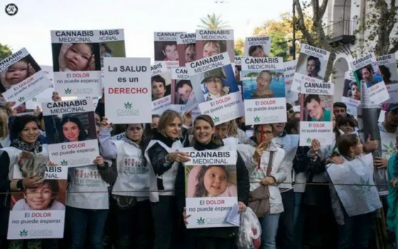 Conoce los alcances de la Ley de cannabis medicinal