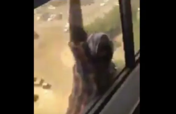 Una mujer cae desde un séptimo piso y mirá lo que hace su jefa mientras... Terrible video viral