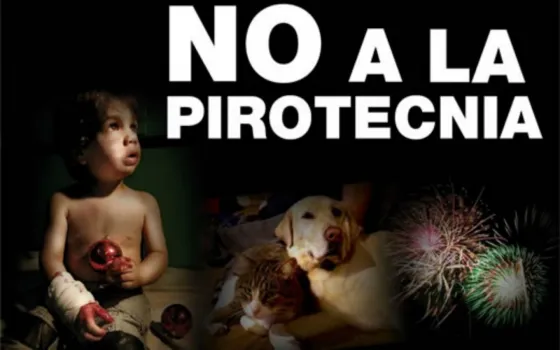 Pirotecnia cero: Por “presiones del sector” vetaron una ordenanza