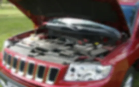 Revisaron el motor y encontraron una desagradable sorpresa