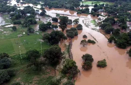 Conoce el alcance de la Ley de emergencia climática