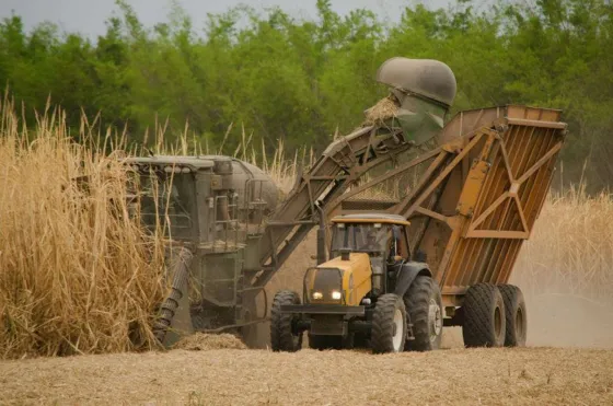 Confirmado: El 5 de mayo comienza la zafra 2017 en Salta