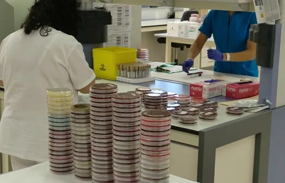 En 2017 Salta no registró ningún caso de dengue autóctono