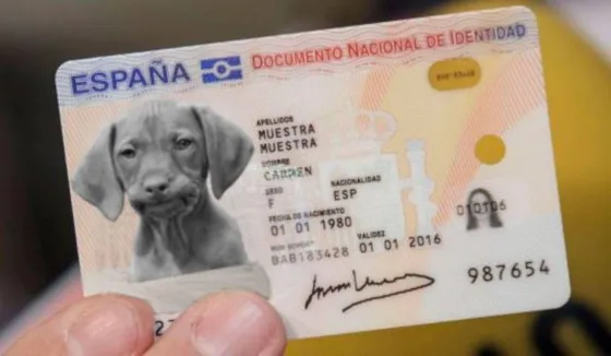 España impone DNI obligatorio para perros y gatos