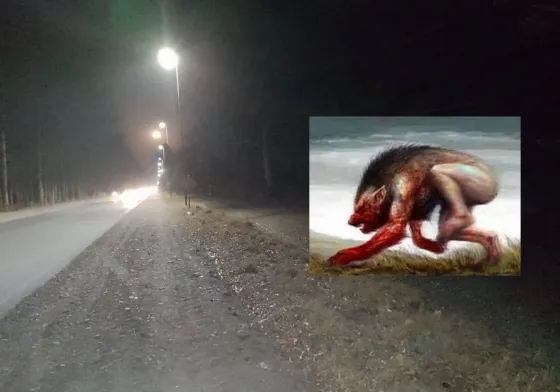 El "familiar" volvió a atemorizar a Güemes: "el perro era gigante"