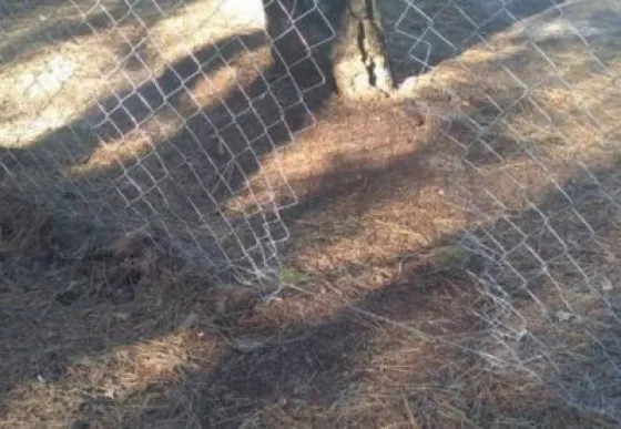 Irá a prisión por robarse unas correas de hierro de una obra de construcción