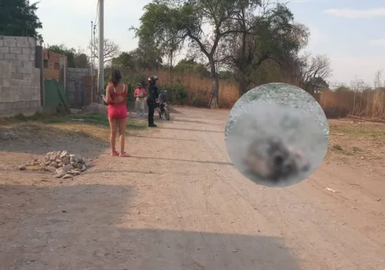 Macabro hallazgo en El Carril: encontraron un cráneo en un descampado