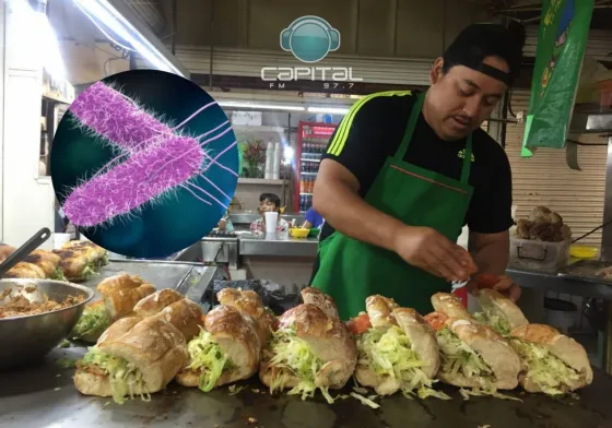 Preocupan los casos de Salmonella en Salta: "Ahora está en la sangre"