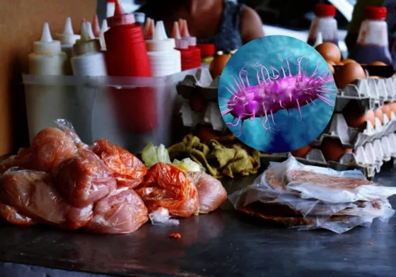 En lo que va de enero, Salta registra cerca de 500 casos de salmonelosis