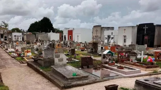 No dejaron ni las flores: siguen los robos en el cementerio de Orán
