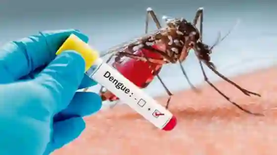 Detectaron el primer caso de dengue de la temporada