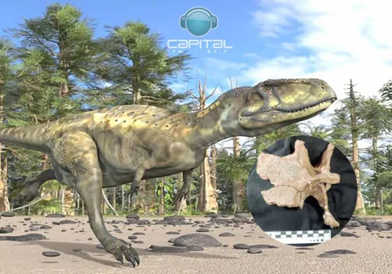 Descubren en Salta los primeros restos de un dinosaurio carnívoro