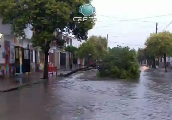 Ya son 10 las familias evacuadas por el temporal en Salta