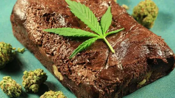 Pasó en Jujuy: al menos tres alumnas se intoxicaron con brownies de marihuana en un colegio