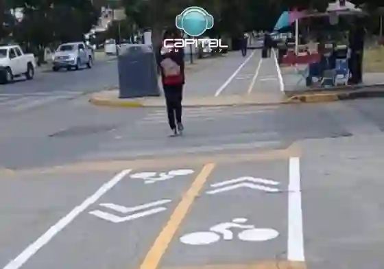 Insólito: La Municipalidad pintó una ciclovía en plena vereda del Parque San Martín