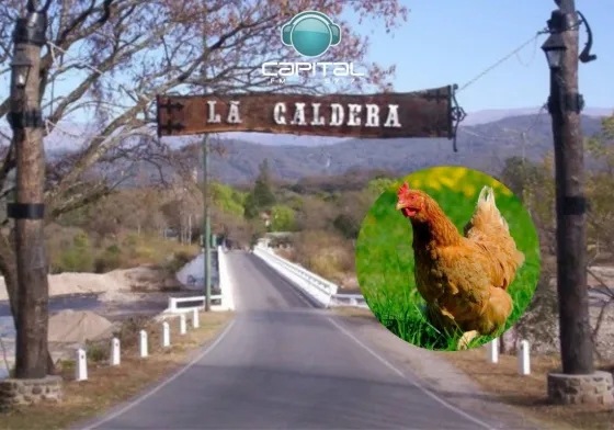 Video: Alumnos descuartizaron una gallina en un "juego escolar" en La Caldera