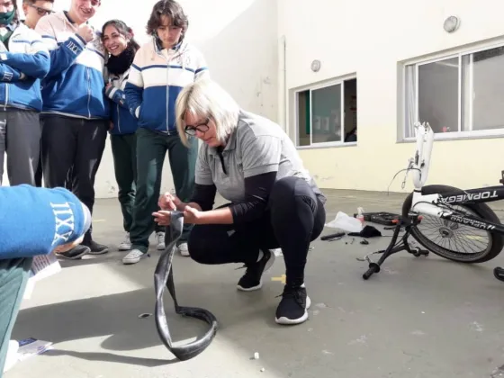 Brindarán talleres gratuitos para mecánico de bicicletas: Cómo anotarse