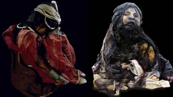 Piden que devuelvan las momias del Llullaillaco donde la encontraron