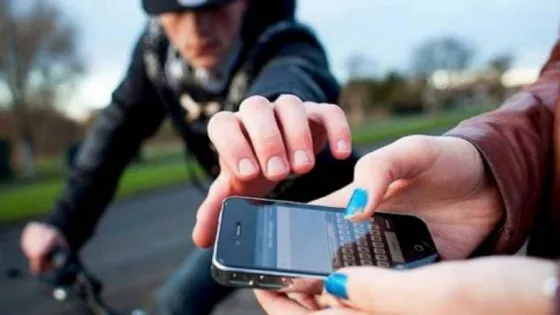 Detuvieron a la banda de los "arrebatadores" en General Güemes