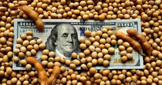 El Banco Central creó el "dólar soja" para que el campo liquide la cosecha