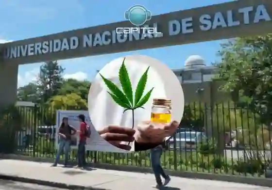 La UNSa comenzará a controlar la calidad de los aceites de Cannabis
