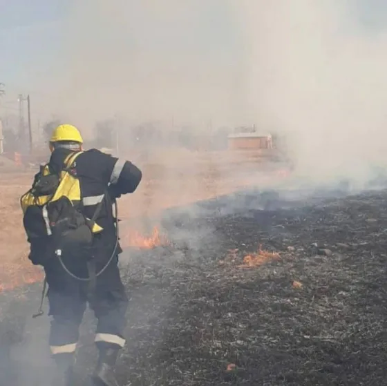 Lo que el viento nos dejó: La ciudad registró 4 focos de incendio
