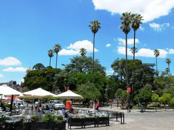 Un hombre se robó las sillas de una confitería en plena Plaza 9 de Julio