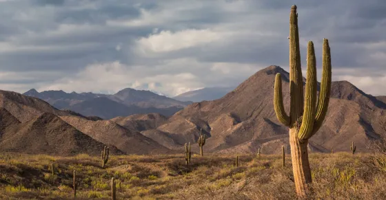 "El agua es un recurso fundamental": Juntaron firmas contra la minería en los Valles Calchaquíes