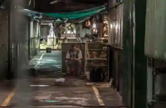 Los puesteros del Parque San Martín tienen hasta el 28 de febrero para quedarse