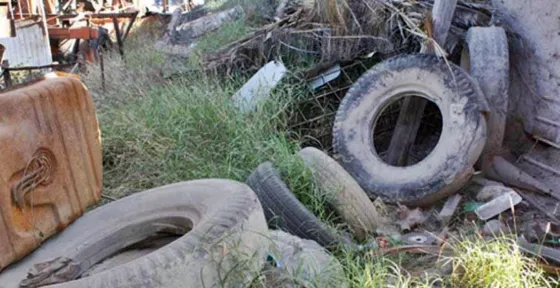 Más de seiscientos mil kilos de basura retirados