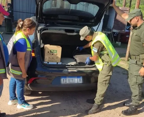 Detuvieron a un hombre que llevaba 58 loros en el baúl de su auto