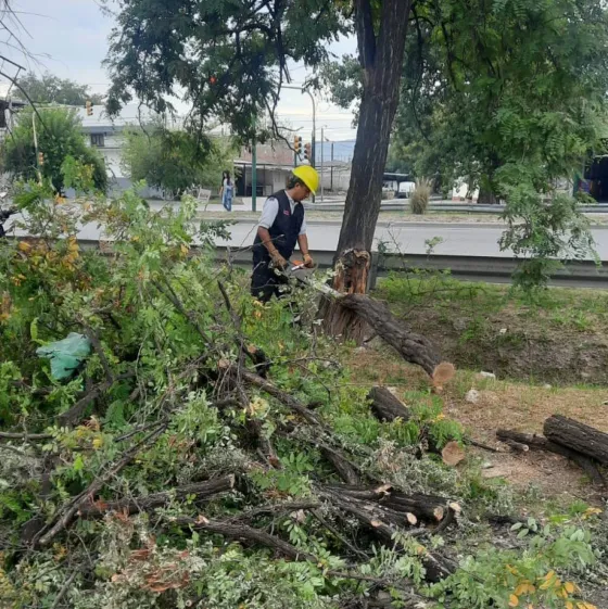Realizaron intervenciones ambientales en la ciudad