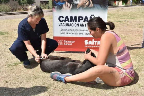 Siguen con los puntos de vacunación antirrábica en los barrios