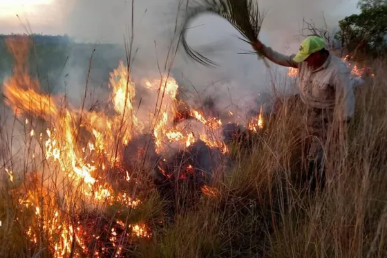 Corrientes y Chubut presentan focos de incendios forestales activos