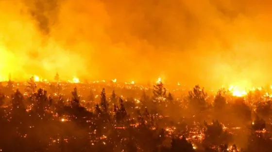 Hay más de 300 focos de incendios forestales en Chile