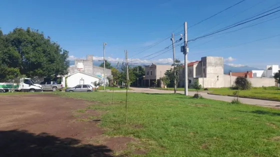 Colocaron 60 nuevos árboles en espacios verdes de zona oeste alta y norte