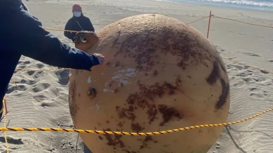 Revelaron detalles de la bola gigante que apareció en Japón
