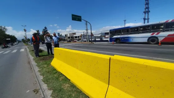 Este jueves continúa la colocación de dispositivos especiales en Av. Paraguay