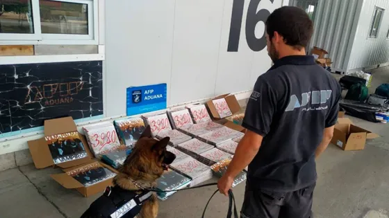 Incautaron 483 vinilos de Vilma Palma valuados en 5 millones de pesos