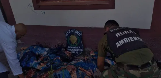 La Policía decomisó carne vacuna no apta para el consumo humano