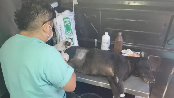 El Móvil Quirúrgico se instalará en el barrio San Calixto