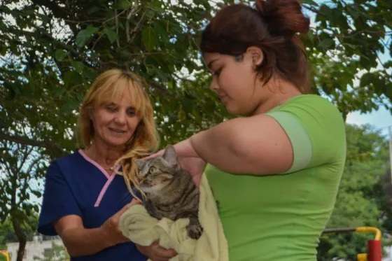 La vacunación antirrábica llegará a zona este