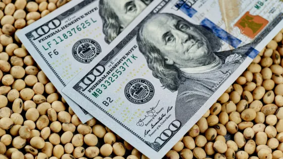 Dólar agro: qué dice el decreto y cuáles son los productos incluidos
