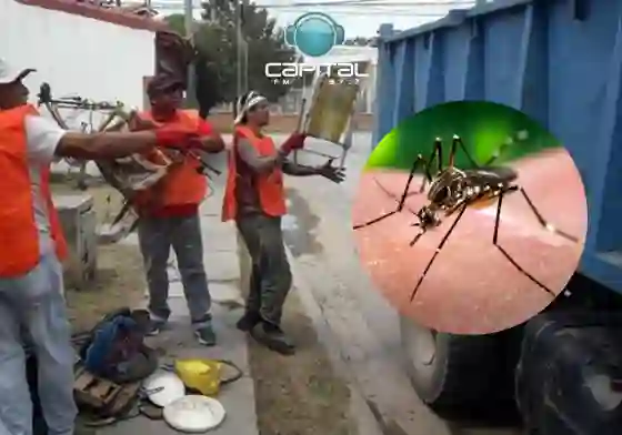 Dengue en Orán: Se hará un "descacharrado masivo" tras la ola de casos